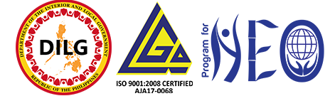 Program for Newly Elected Officials (NEO)